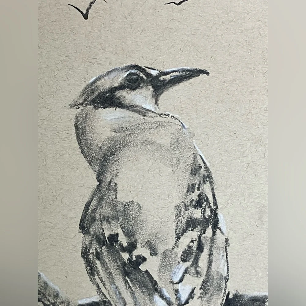 Original Jay bird art art charcoal pastel painting wall decor artwork Artettina - Picture 2 of 6
